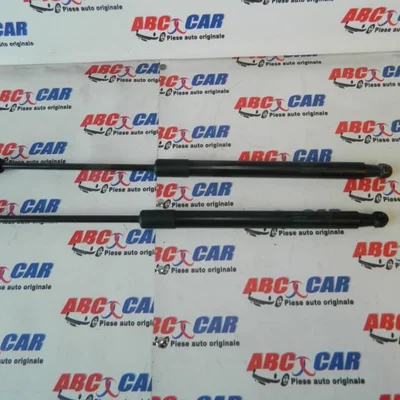 Amortizoare haion VOLKSWAGEN PASSAT B6 Variant 2005-2011, vedere frontata