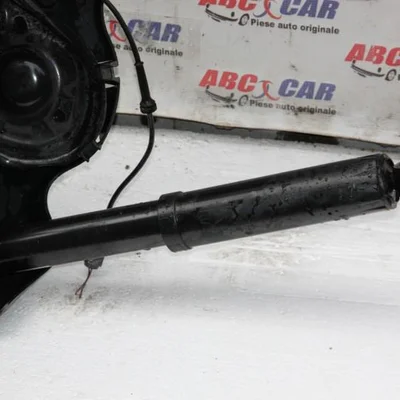 Amortizor suspensie stanga spate RENAULT KADJAR 2015-2026, vedere frontata
