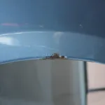 Aripa fata stanga VOLKSWAGEN GOLF VAN VI Variant 2009-2014, vedere laterala