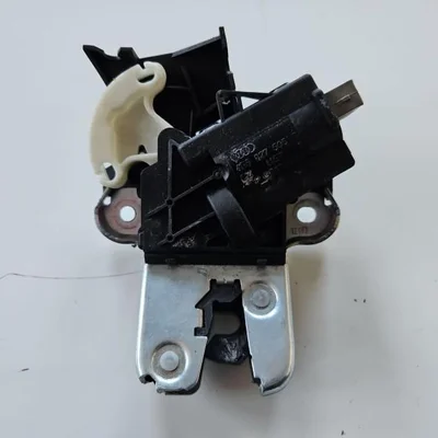 Broasca capota spate