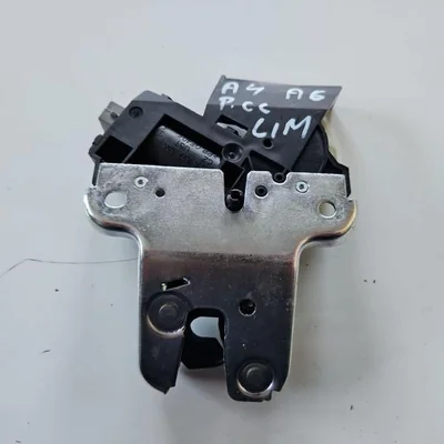 Broasca capota spate