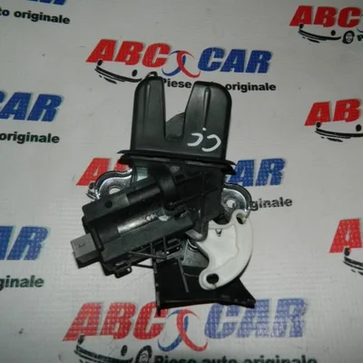 Broasca capota spate