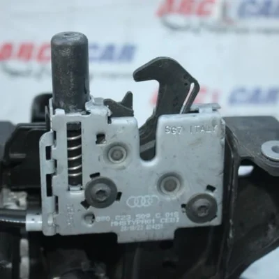 Broasca capota stanga