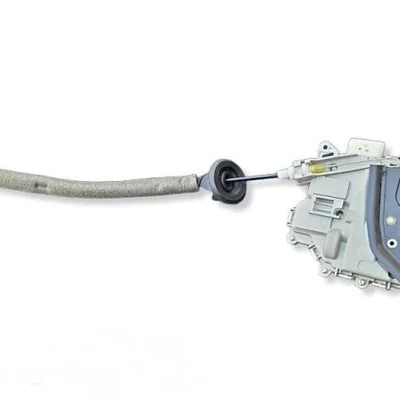 Broasca usa stanga spate