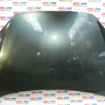 Capota fata FORD FOCUS II 2004-2012, vedere frontata