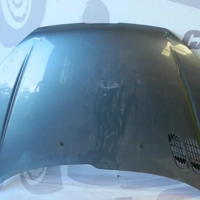 Capota fata PEUGEOT 206 1999-2009, vedere frontata