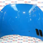 Capota fata PEUGEOT 206 1999-2009, vedere frontata