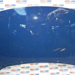 Capota fata VOLKSWAGEN POLO 1994-1999, vedere frontata