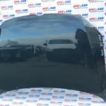 Capota fata VOLKSWAGEN POLO V 2009-2017, vedere frontata