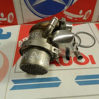 EGR VOLKSWAGEN GOLF ALLTRACK VII Variant 2014-2020, vedere frontata