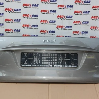 Haion SMART FORTWO 2007-2026, vedere frontata