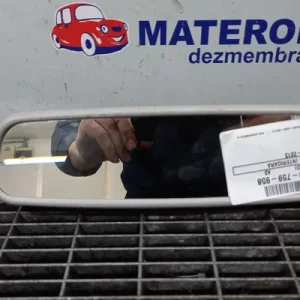 OGLINDA INTERIOARA