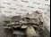 CUTIE VITEZE AUDI A4 B5 1.6 1994-2001 oe 012300049EX, vedere laterala