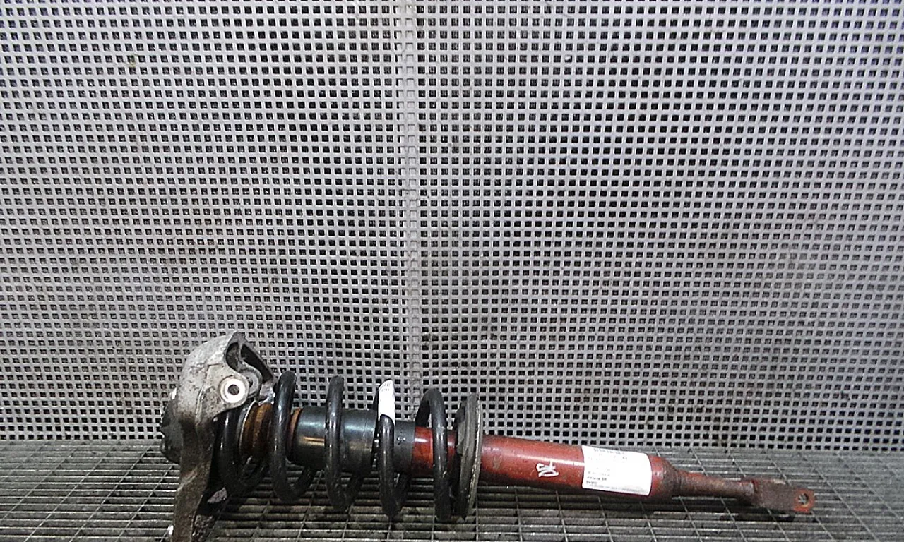 TELESCOP FATA DREAPTA AUDI A4 B6 2000-2005
