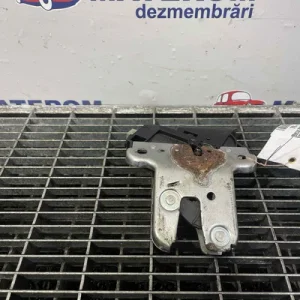 INCUIETOARE HAION