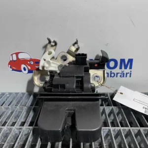 INCUIETOARE HAION