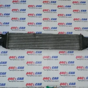 Radiator intercooler