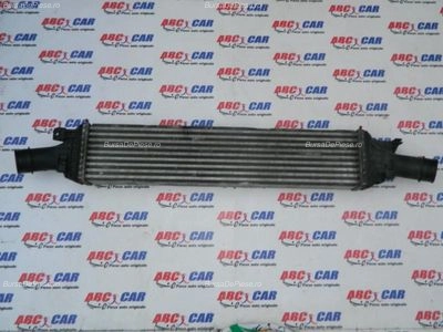 Radiator intercooler