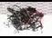 Instalatie electrica AUDI A5 2016-2026, vedere frontata