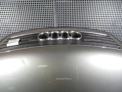 GRILA FATA AUDI A6 C5 Avant 1997-2006, vedere frontata