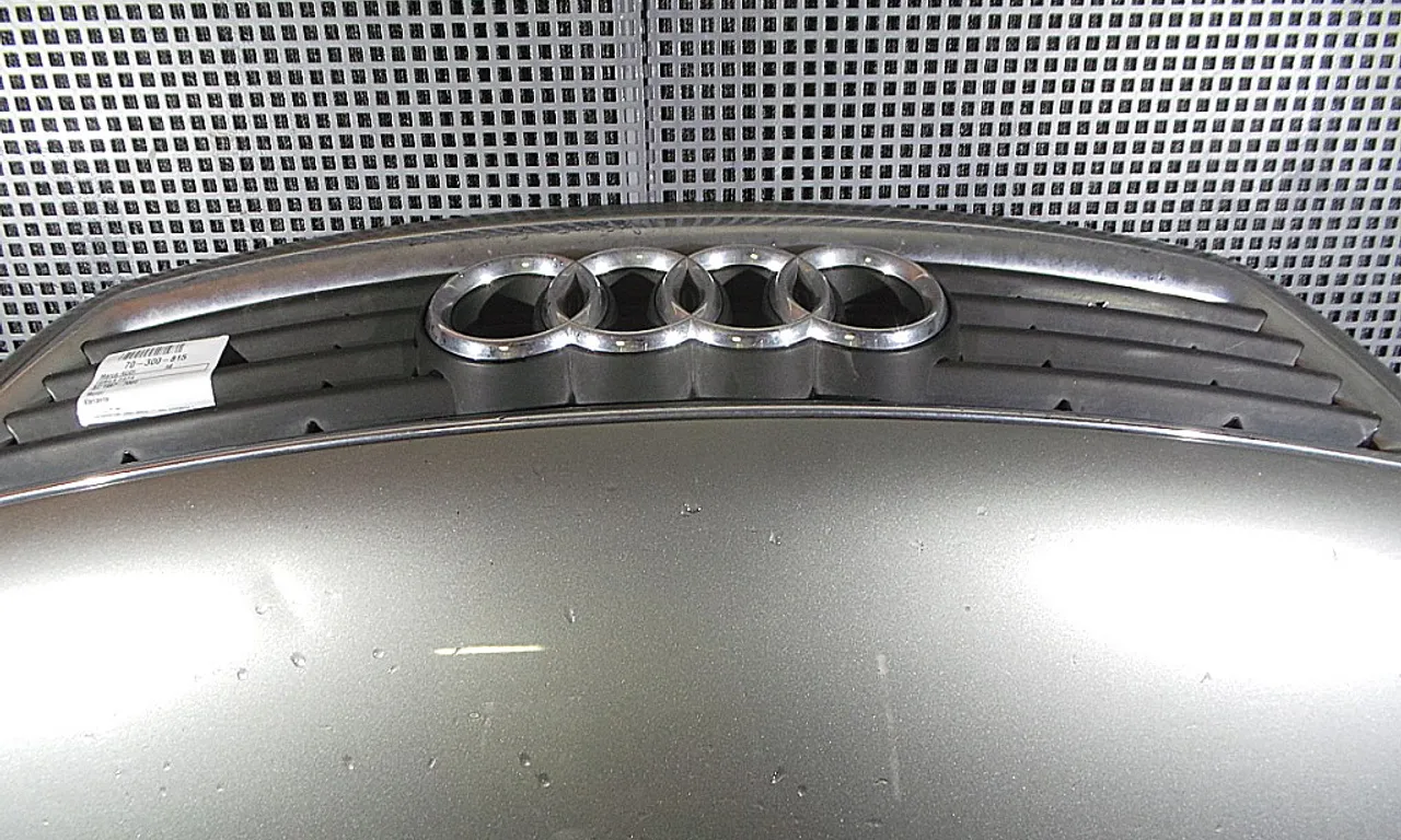 GRILA FATA AUDI A6 C5 Avant 1997-2006