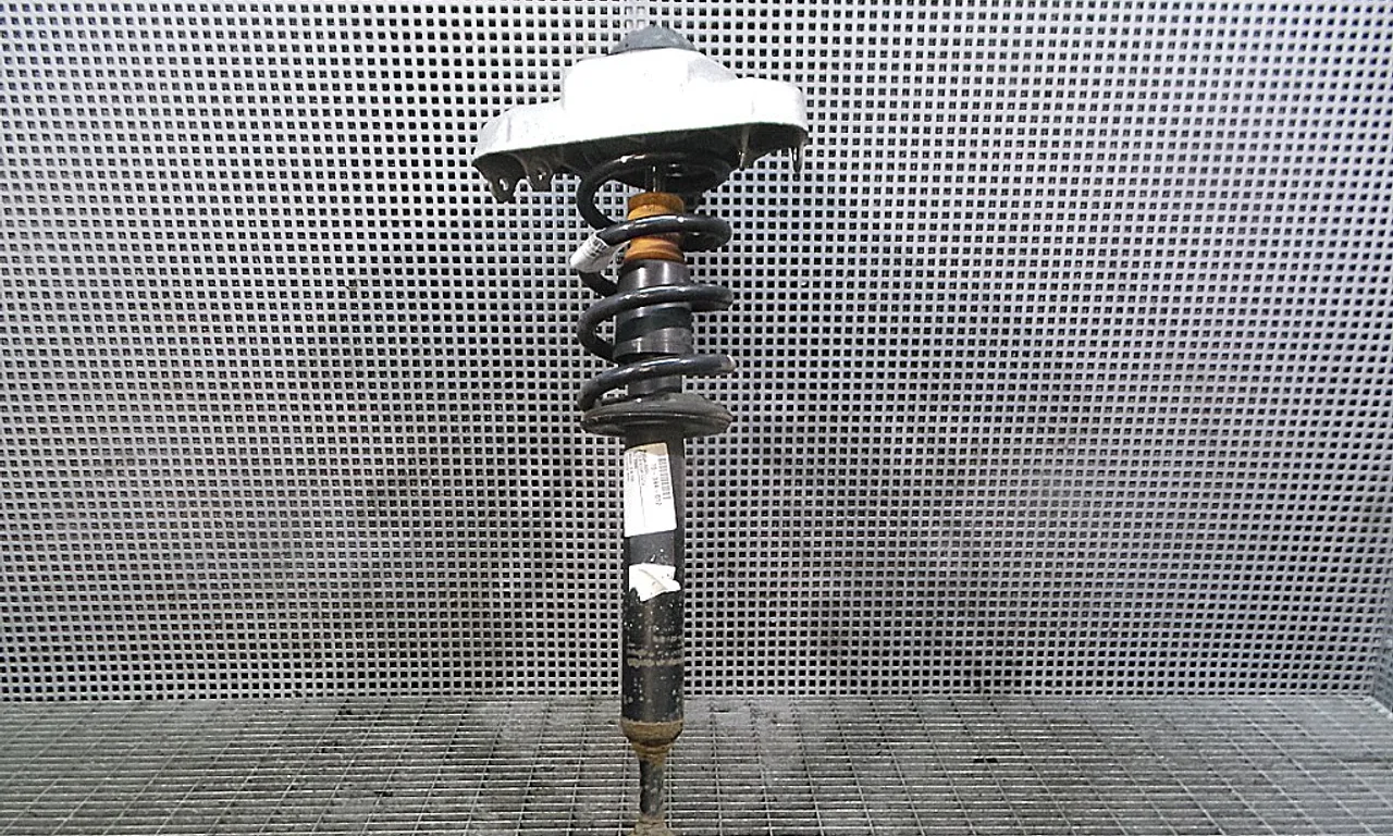TELESCOP FATA STANGA AUDI A6 C6 Avant 2004-2011