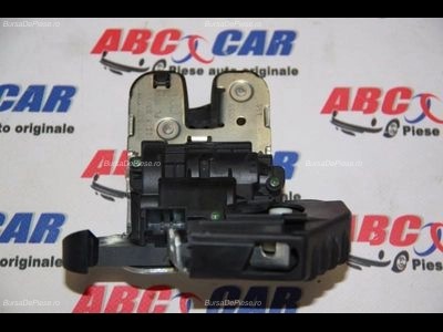 Broasca haion