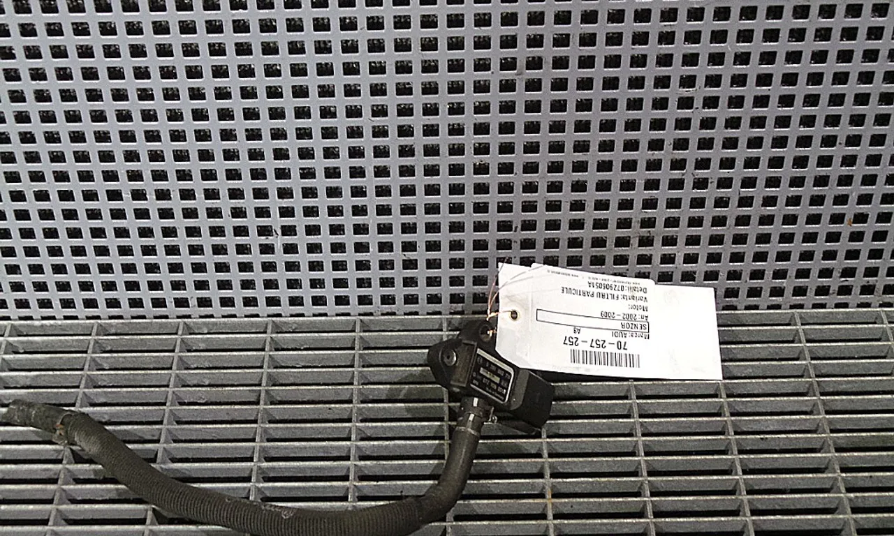 SENZOR FILTRU PARTICULE AUDI A8 D3 2002-2010