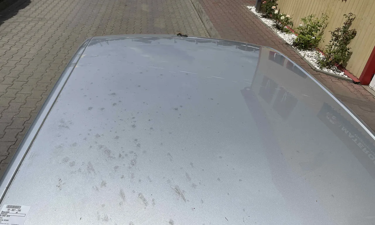 PAVILION AUDI A8 D4 2009-2019