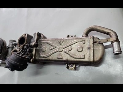 EGR cu racitor