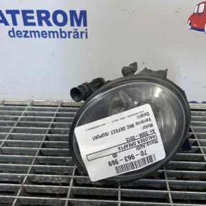 HALOGEN DREAPTA