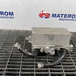 RACITOR ULEI