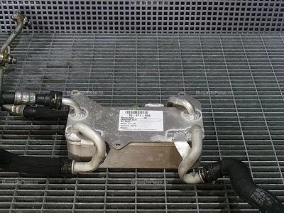 RACITOR ULEI