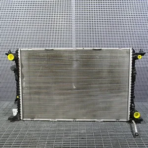 RADIATOR MOTOR
