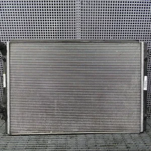 RADIATOR MOTOR