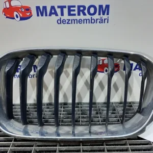 GRILA FATA