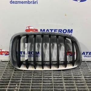 GRILA FATA
