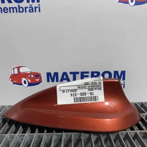 ORNAMENT ANTENA