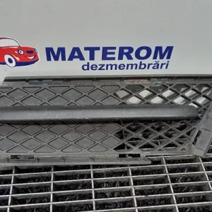 GRILA IN BARA
