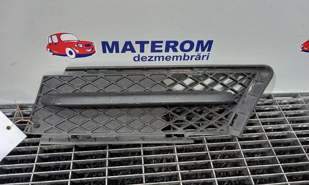 GRILA IN BARA BMW 3 2004-2012