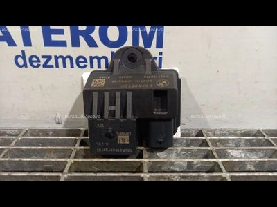 RELEU BUJII