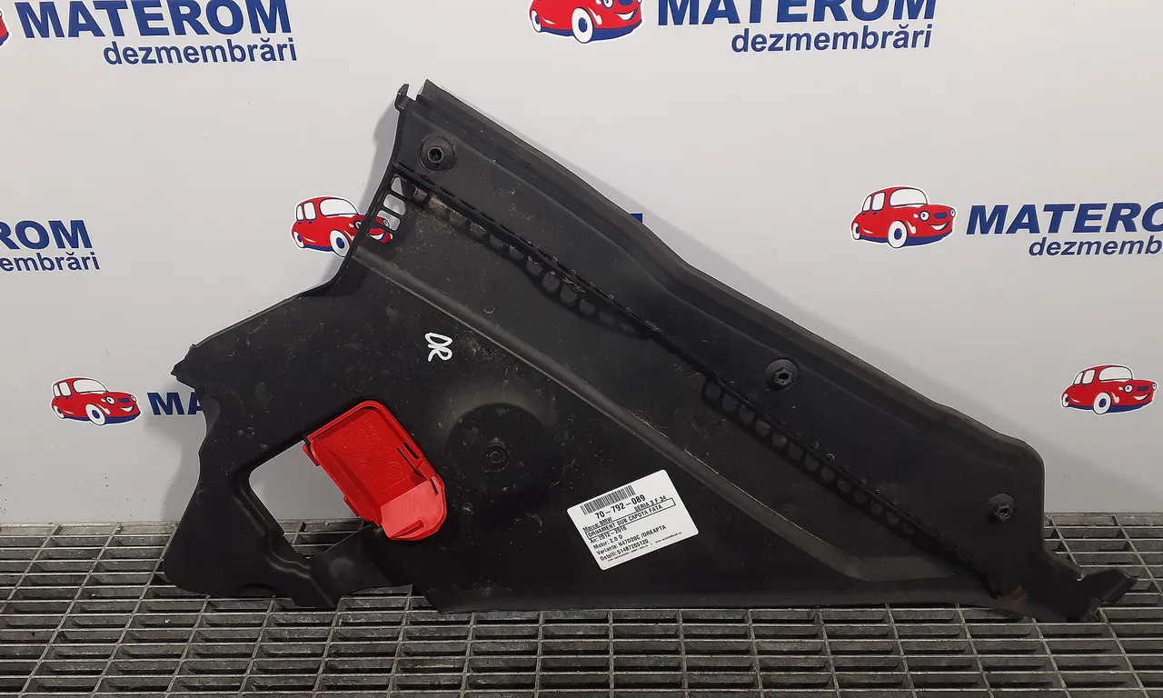 ORNAMENT SUB CAPOTA FATA BMW 3 2012-2016