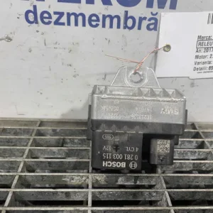 RELEU BUJII