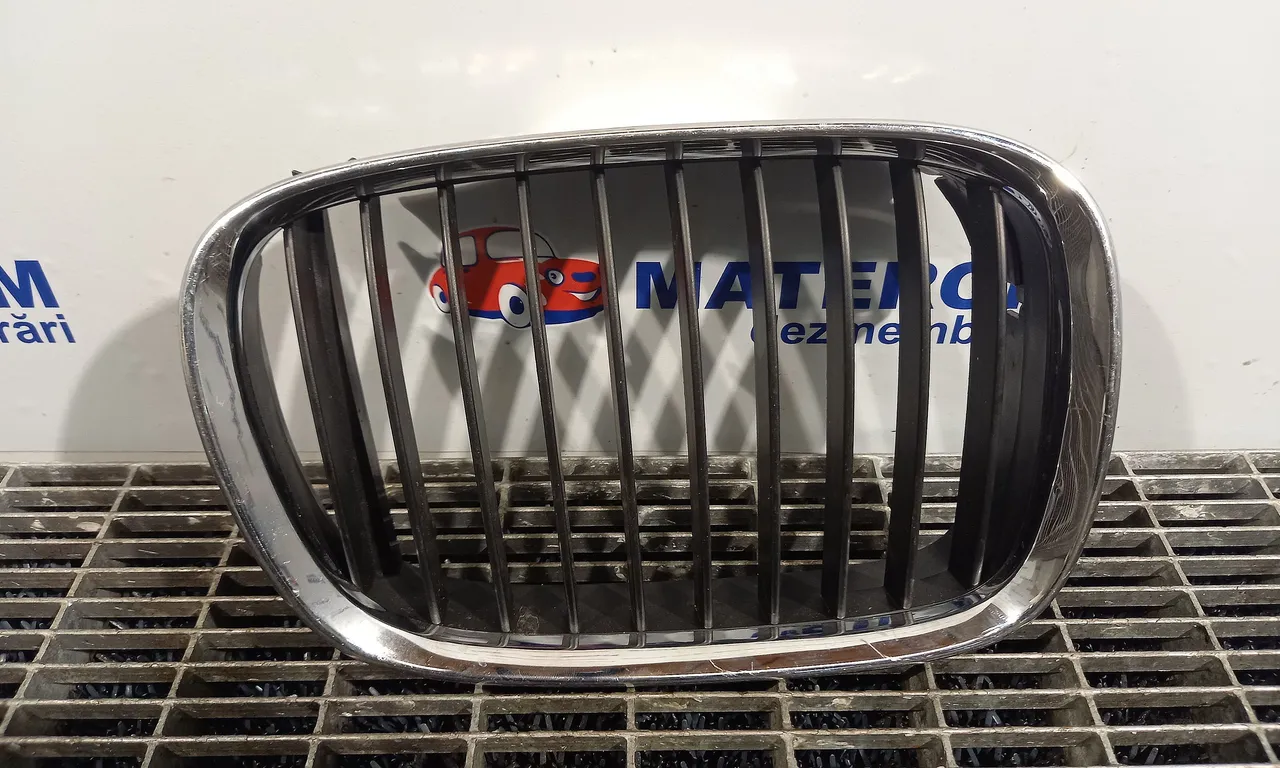 GRILA FATA BMW 5 1996-2004