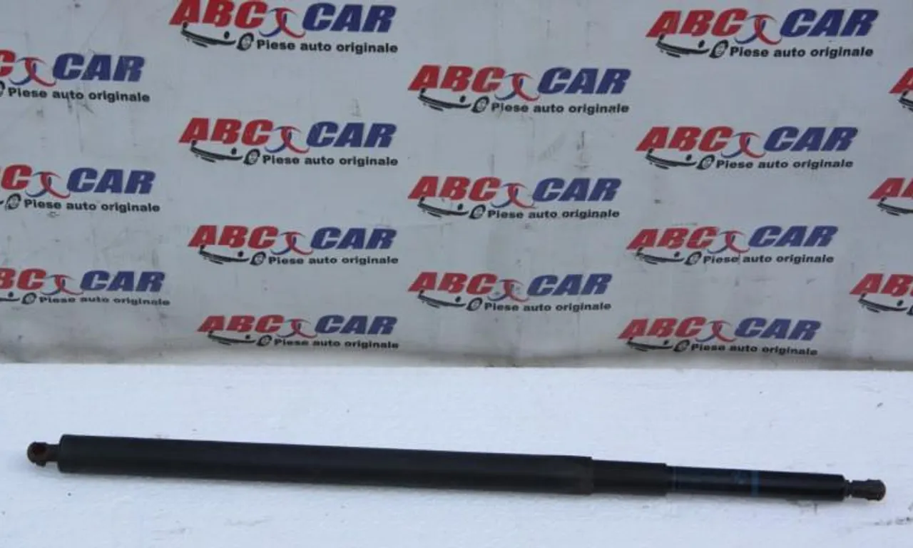 Amortizor haion BMW 5 2004-2010
