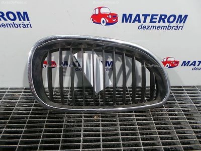 GRILA FATA