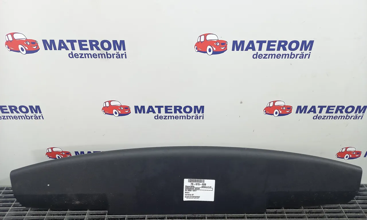 ORNAMENT HAION BMW 5 2009-2017