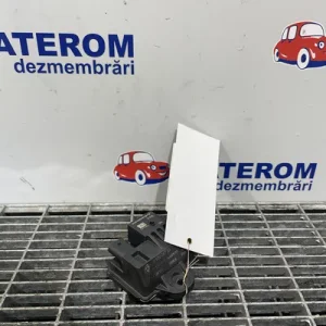 RELEU BUJII