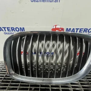 GRILA FATA