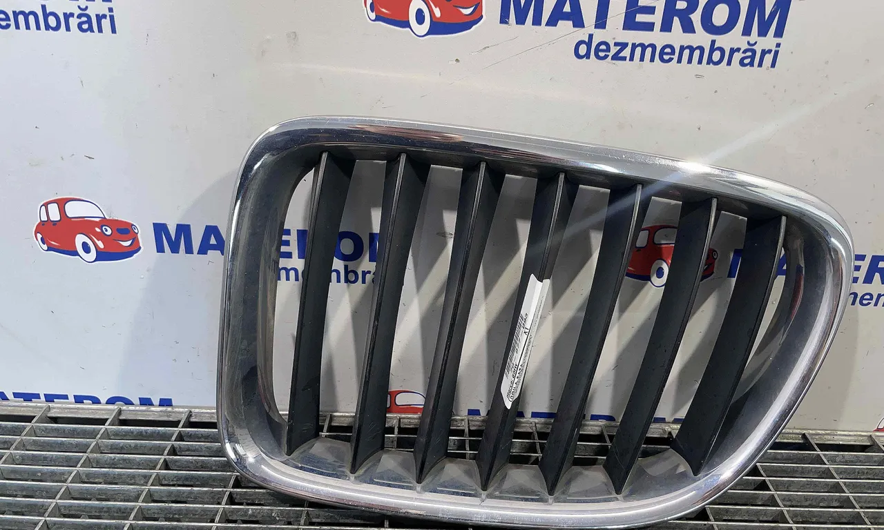 GRILA FATA BMW X1 2009-2015